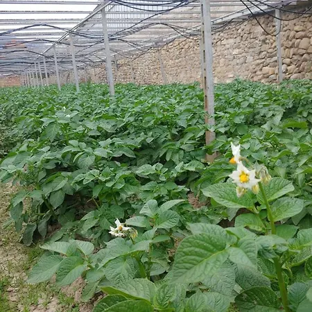 Ca Du Bega 2 Arma di Taggia